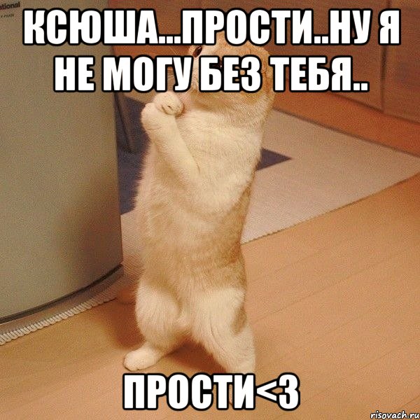 ксюша...прости..ну я не могу без тебя.. прости<3