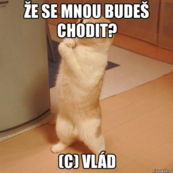 že se mnou budeš chodit? (c) vlád, Мем  котэ молится