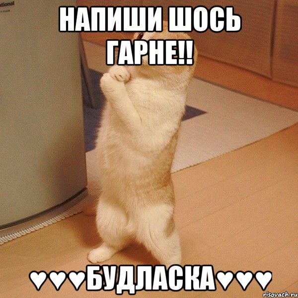 напиши шось гарне!! ♥♥♥будласка♥♥♥