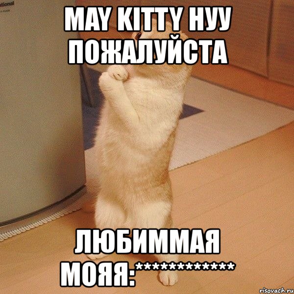 may kitty нуу пожалуйста любиммая мояя:************, Мем  котэ молится