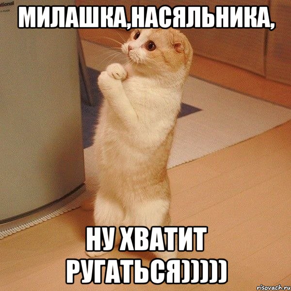 милашка,насяльника, ну хватит ругаться))))), Мем  котэ молится