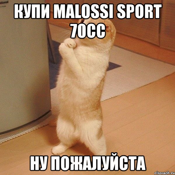 купи malossi sport 70cc ну пожалуйста, Мем  котэ молится