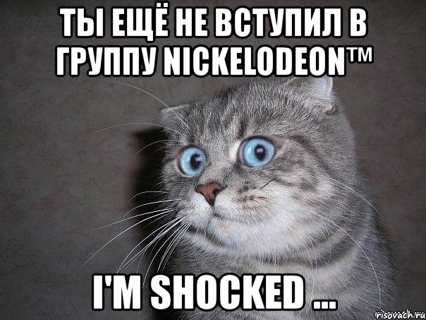 ты ещё не вступил в группу nickelodeon™ i'm shocked ..., Мем  удивлённый кот