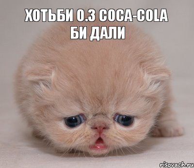 хотьби 0.3 coca-cola би дали, Комикс Котик