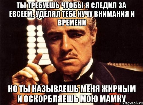 ты требуешь чтобы я следил за евсеем, уделял тебе кучу внимания и времени но ты называешь меня жирным и оскорбляешь мою мамку, Мем крестный отец