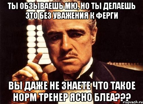 ты обзываешь мю, но ты делаешь это без уважения к ферги вы даже не знаете что такое норм тренер ясно блеа???, Мем крестный отец