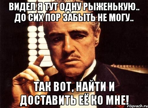 видел я тут одну рыженькую.. до сих пор забыть не могу.. так вот, найти и доставить её ко мне!, Мем крестный отец