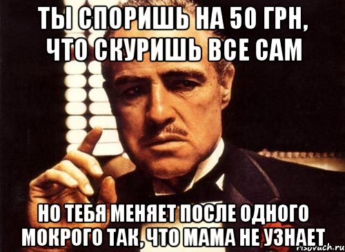 ты споришь на 50 грн, что скуришь все сам но тебя меняет после одного мокрого так, что мама не узнает, Мем крестный отец