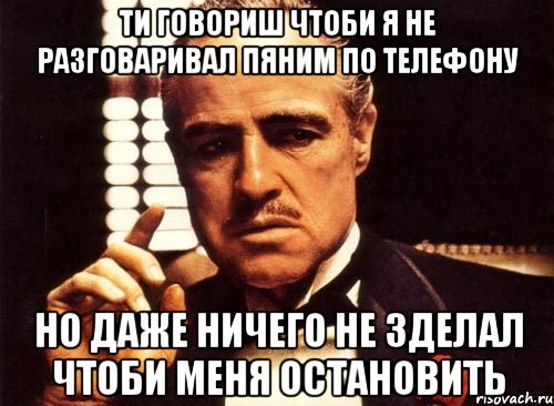 ти говориш чтоби я не разговаривал пяним по телефону но даже ничего не зделал чтоби меня остановить, Мем крестный отец