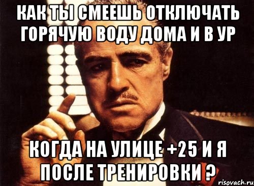 как ты смеешь отключать горячую воду дома и в ур когда на улице +25 и я после тренировки ?, Мем крестный отец