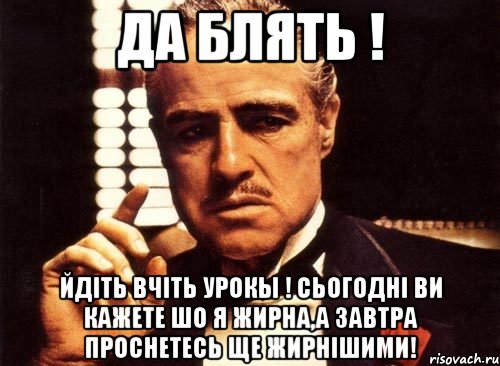 да блять ! йдіть вчіть урокы ! сьогодні ви кажете шо я жирна,а завтра проснетесь ще жирнішими!, Мем крестный отец