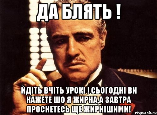 да блять ! йдіть вчіть урокі ! сьогодні ви кажете шо я жирна,а завтра проснетесь ще жирнішими!, Мем крестный отец