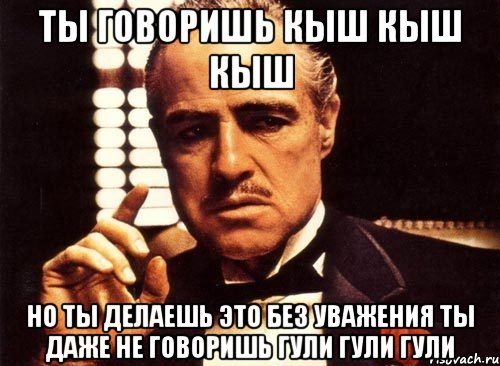 ты говоришь кыш кыш кыш но ты делаешь это без уважения ты даже не говоришь гули гули гули, Мем крестный отец