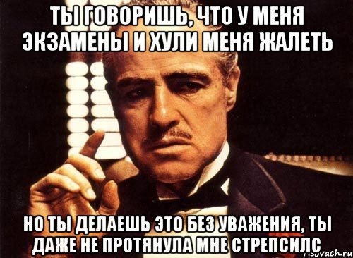 ты говоришь, что у меня экзамены и хули меня жалеть но ты делаешь это без уважения, ты даже не протянула мне стрепсилс, Мем крестный отец