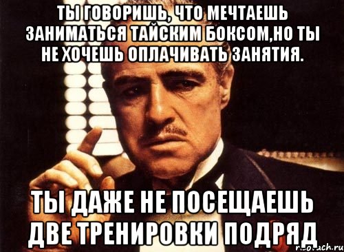 ты говоришь, что мечтаешь заниматься тайским боксом,но ты не хочешь оплачивать занятия. ты даже не посещаешь две тренировки подряд, Мем крестный отец