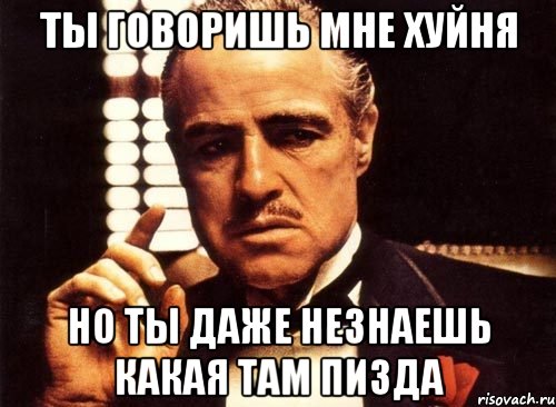 ты говоришь мне хуйня но ты даже незнаешь какая там пизда, Мем крестный отец