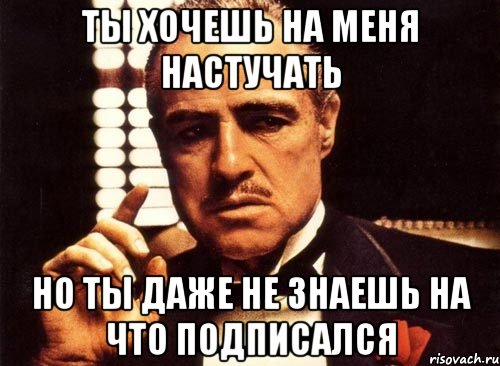 ты хочешь на меня настучать но ты даже не знаешь на что подписался, Мем крестный отец