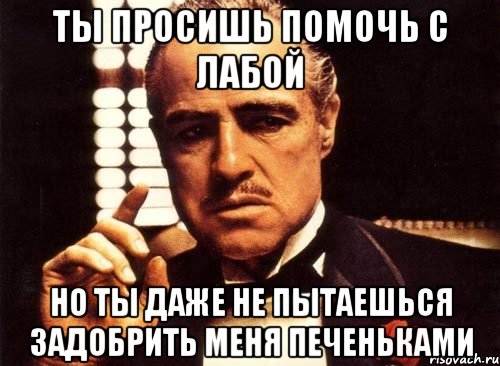 ты просишь помочь с лабой но ты даже не пытаешься задобрить меня печеньками, Мем крестный отец