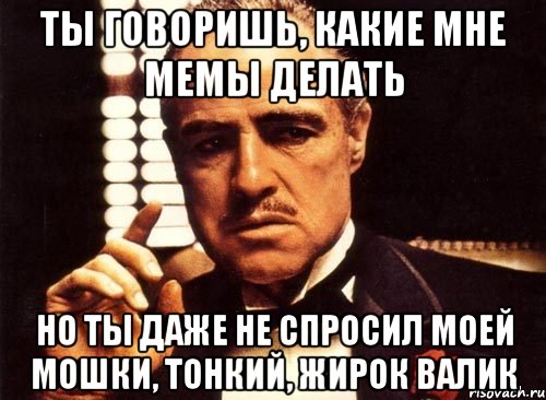 ты говоришь, какие мне мемы делать но ты даже не спросил моей мошки, тонкий, жирок валик, Мем крестный отец