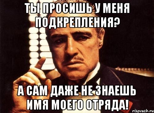 ты просишь у меня подкрепления? а сам даже не знаешь имя моего отряда!, Мем крестный отец