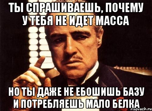 ты спрашиваешь, почему у тебя не идет масса но ты даже не ебошишь базу и потребляешь мало белка, Мем крестный отец