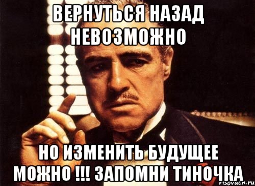 вернуться назад невозможно но изменить будущее можно !!! запомни тиночка, Мем крестный отец