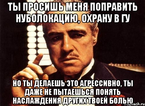 ты просишь меня поправить нуболокацию, охрану в гу но ты делаешь это агрессивно, ты даже не пытаешься понять наслаждения других твоей болью, Мем крестный отец