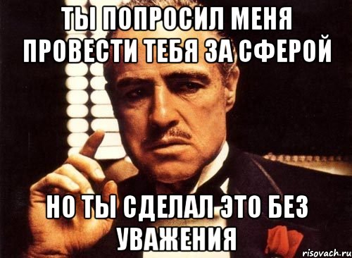 ты попросил меня провести тебя за сферой но ты сделал это без уважения, Мем крестный отец