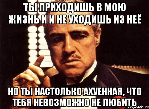 ты приходишь в мою жизнь и и не уходишь из неё но ты настолько ахуенная, что тебя невозможно не любить, Мем крестный отец