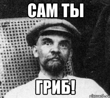 сам ты гриб!, Мем   Ленин удивлен