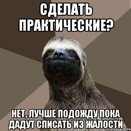 сделать практические? нет, лучше подожду пока дадут списать из жалости