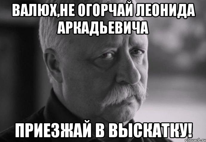 валюх,не огорчай леонида аркадьевича приезжай в выскатку!, Мем Не расстраивай Леонида Аркадьевича