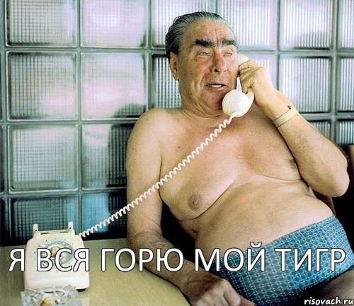 я вся горю мой тигр