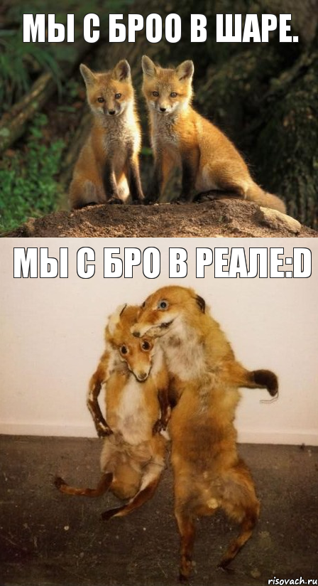 Мы с броо в шаре. Мы с бро в реале:D