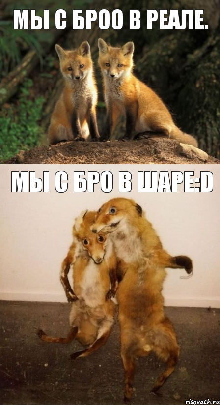 Мы с броо в реале. Мы с бро в шаре:D