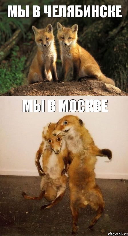 МЫ В ЧЕЛЯБИНСКЕ МЫ В МОСКВЕ