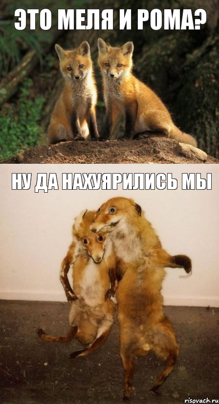 Это Меля и Рома? ну да нахуярились мы