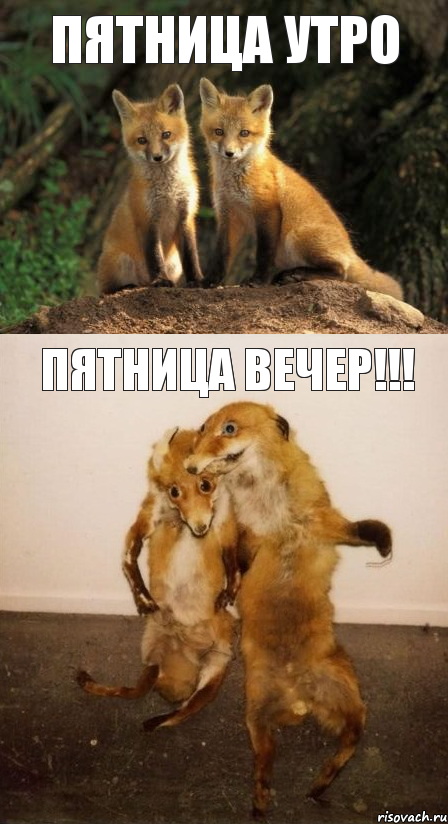 Пятница утро Пятница вечер!!!