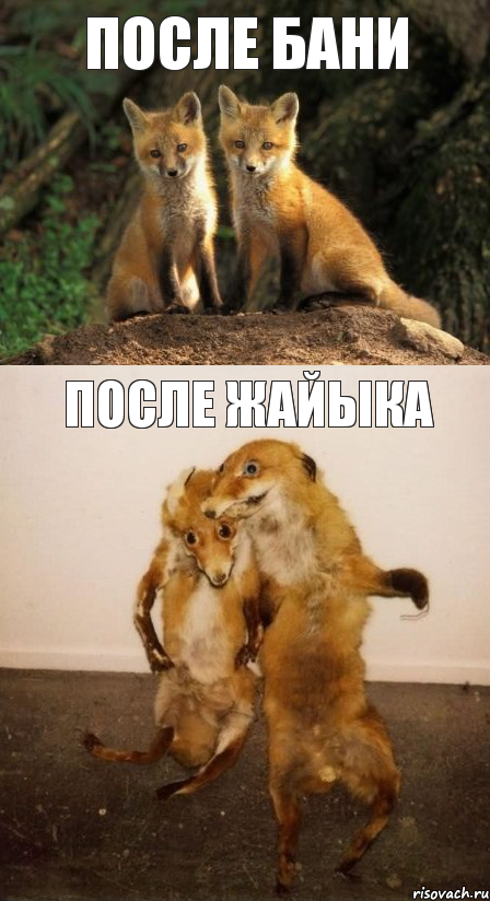 после бани после Жайыка