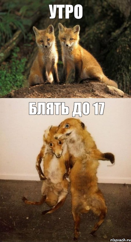 утро блять до 17