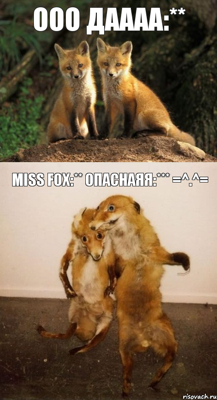 ооо даааа:** Miss Fox:** опаснаяя:*** =^.^=