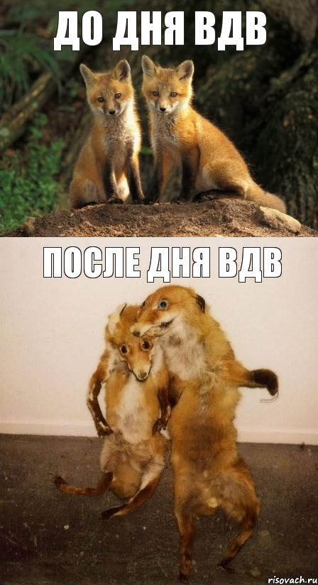 до дня ВДВ после дня ВДВ