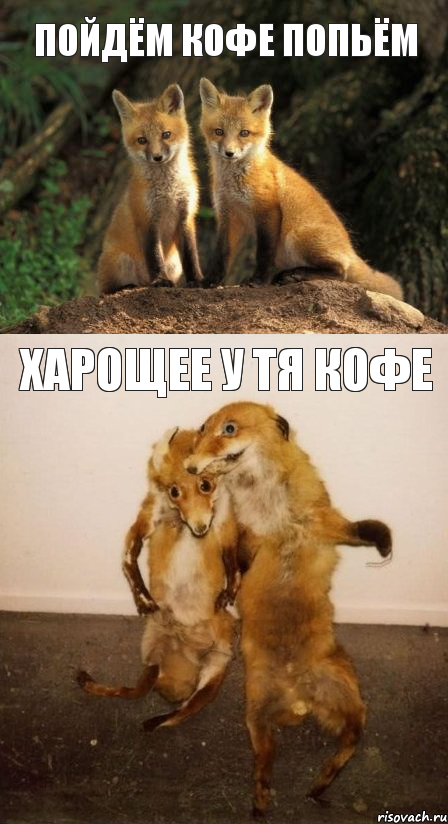 пойдём кофе попьём харощее у тя кофе