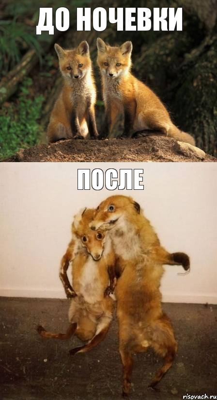 До ночевки после