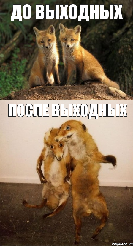 до выходных после выходных