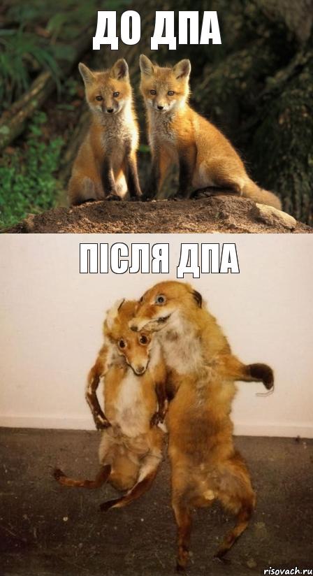 До дпа після дпа