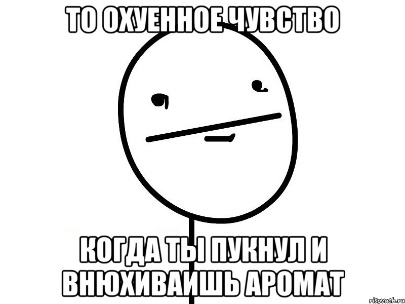 то охуенное чувство когда ты пукнул и внюхиваишь аромат, Мем Покерфэйс