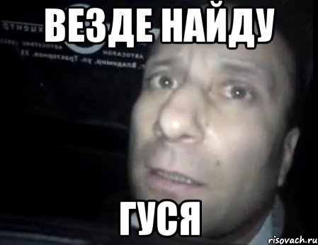 везде найду гуся