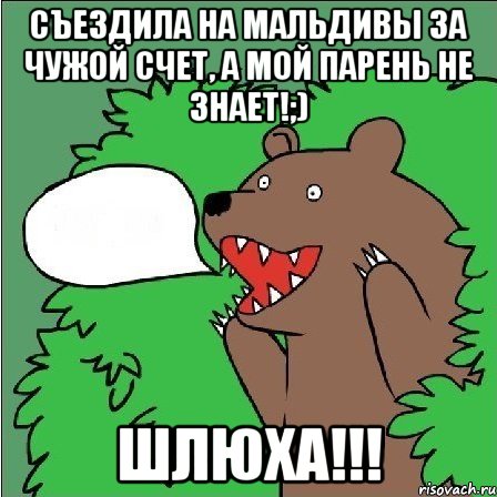 съездила на мальдивы за чужой счет, а мой парень не знает!;) шлюха!!!, Мем Медведь-шлюха