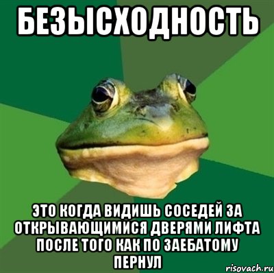 безысходность это когда видишь соседей за открывающимися дверями лифта после того как по заебатому пернул